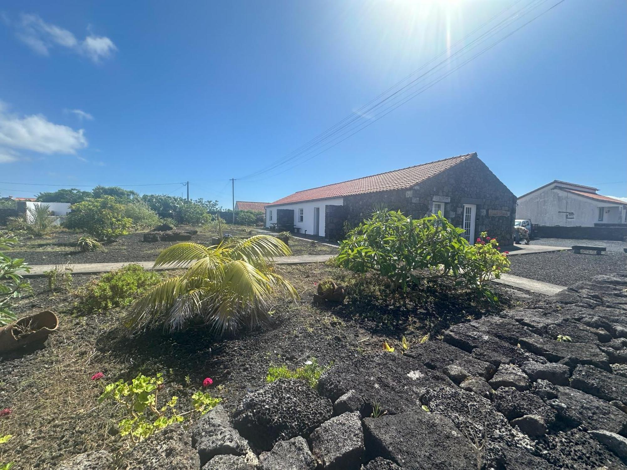 Casas Do Verdelho Madalena  Zewnętrze zdjęcie