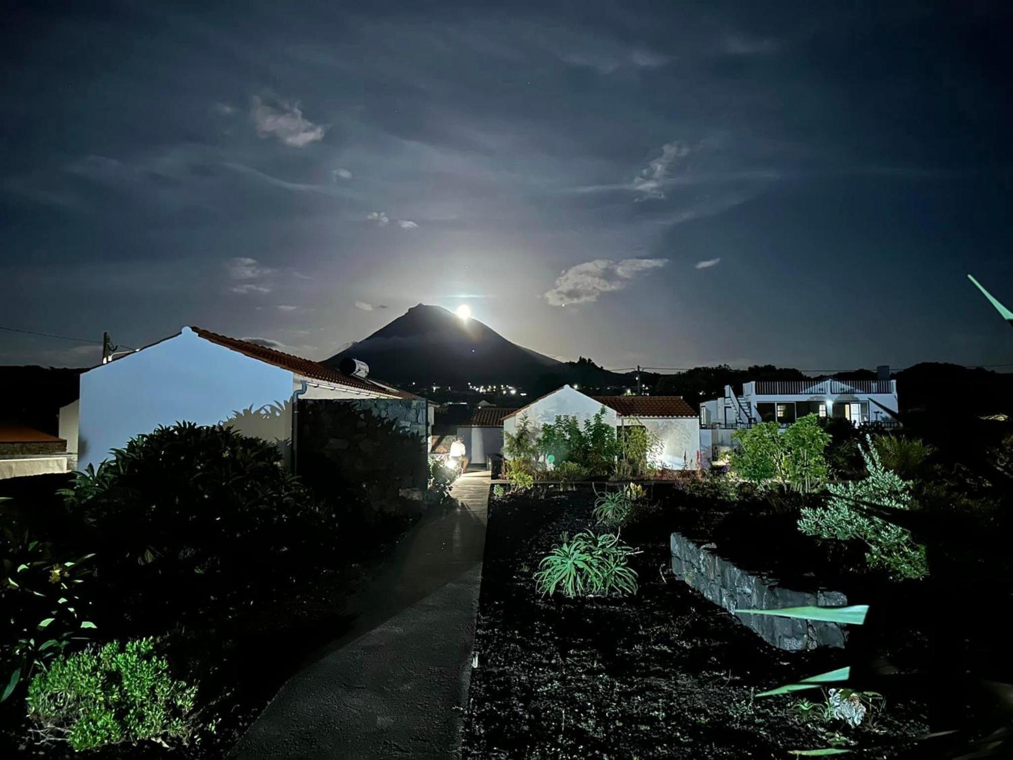 Casas Do Verdelho Madalena  Zewnętrze zdjęcie