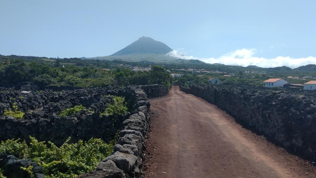 Casas Do Verdelho Madalena  Zewnętrze zdjęcie