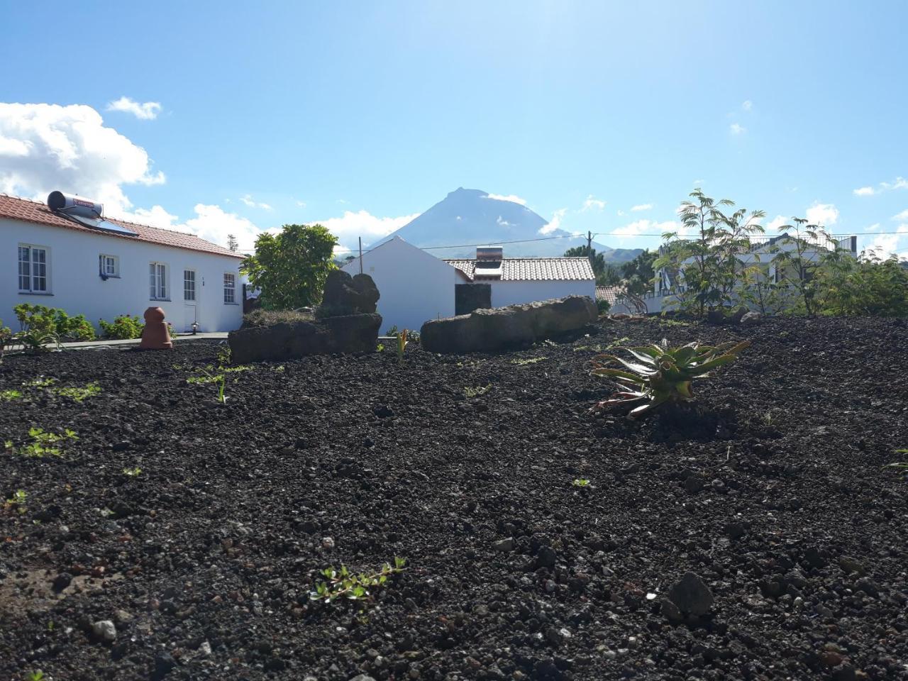 Casas Do Verdelho Madalena  Zewnętrze zdjęcie